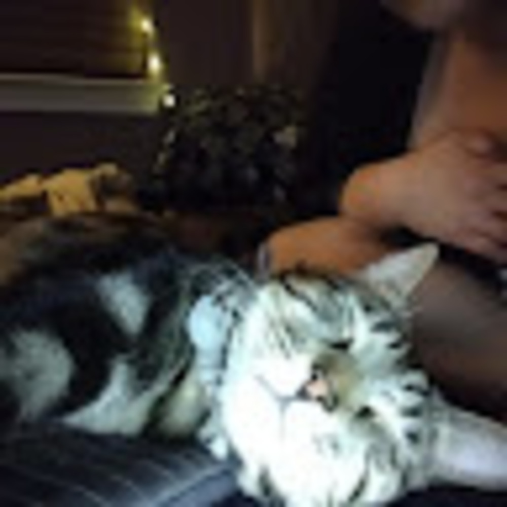 Meet your Posher, Aria